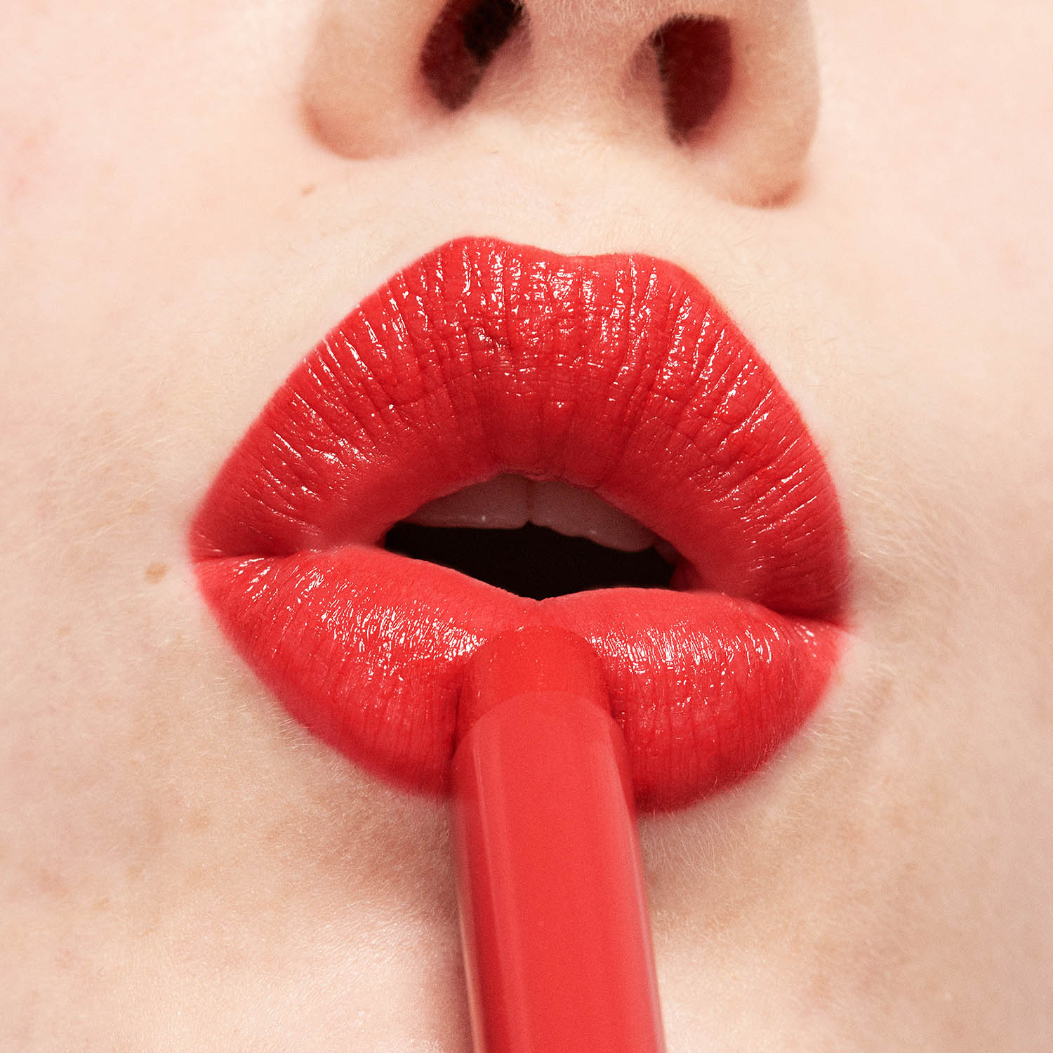 THE COLOR LIP GLOW (LABIAL HIDRATANTE CON ACABADO GLOW)